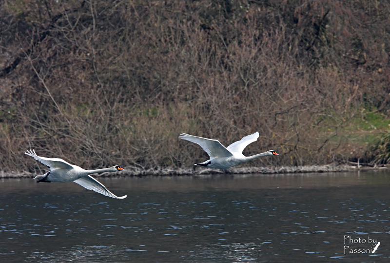 Volo radente!